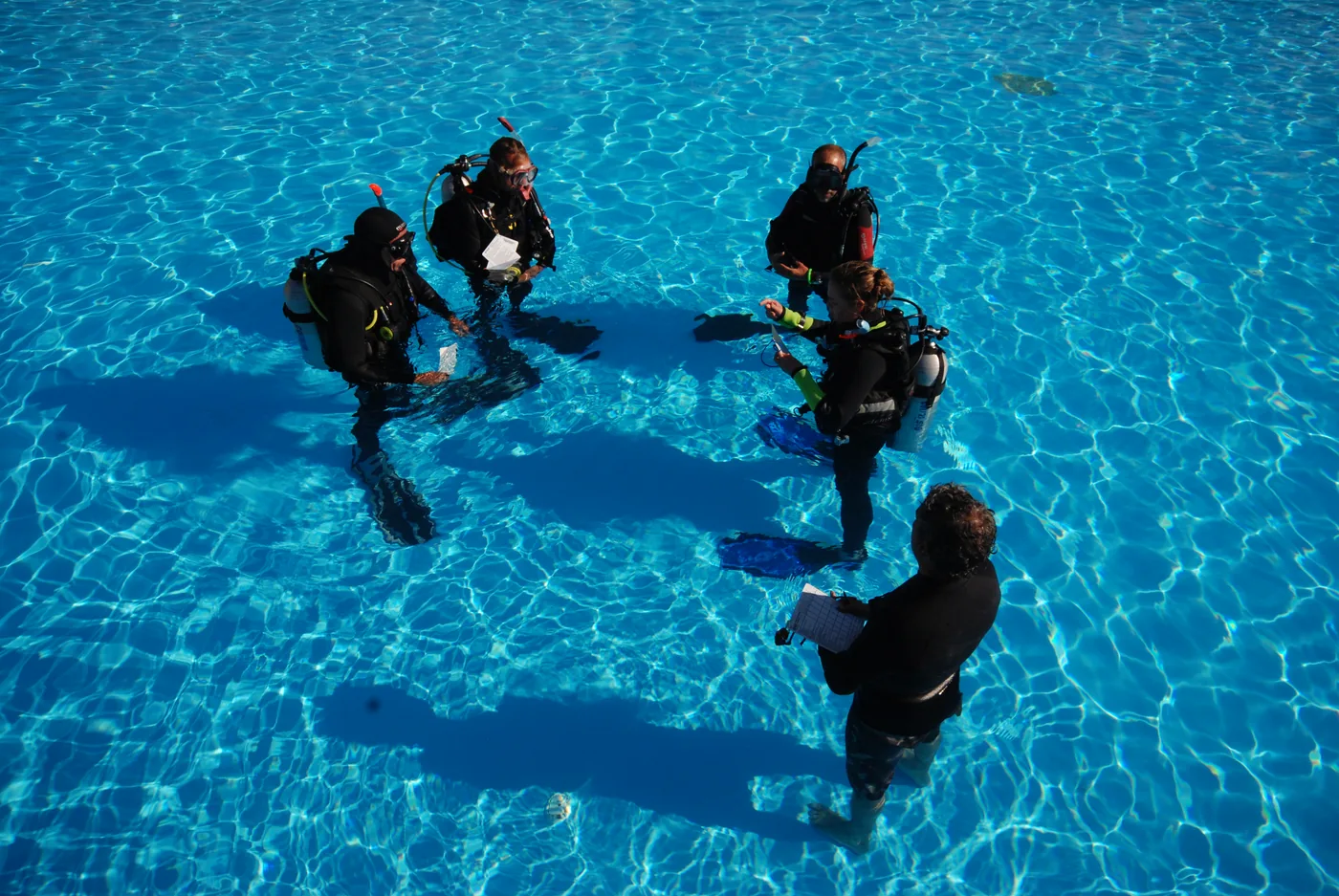 Instructor candidates during a confined water teaching session