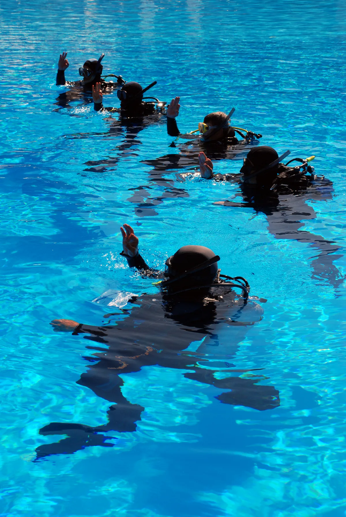 Divers lined up during a pool training session
