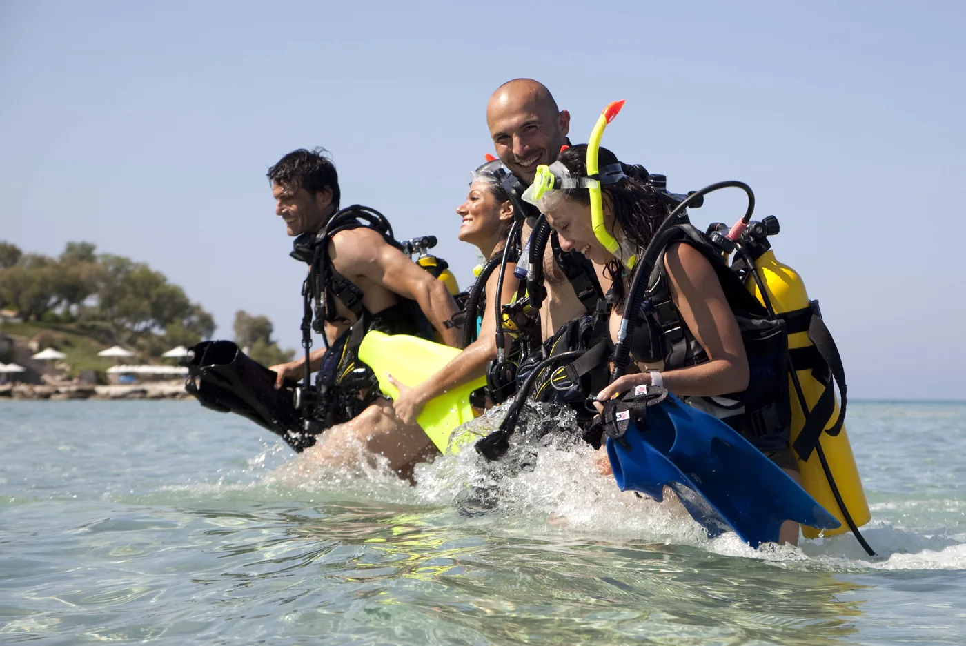 IDC training team entering the sea at SeaWorld