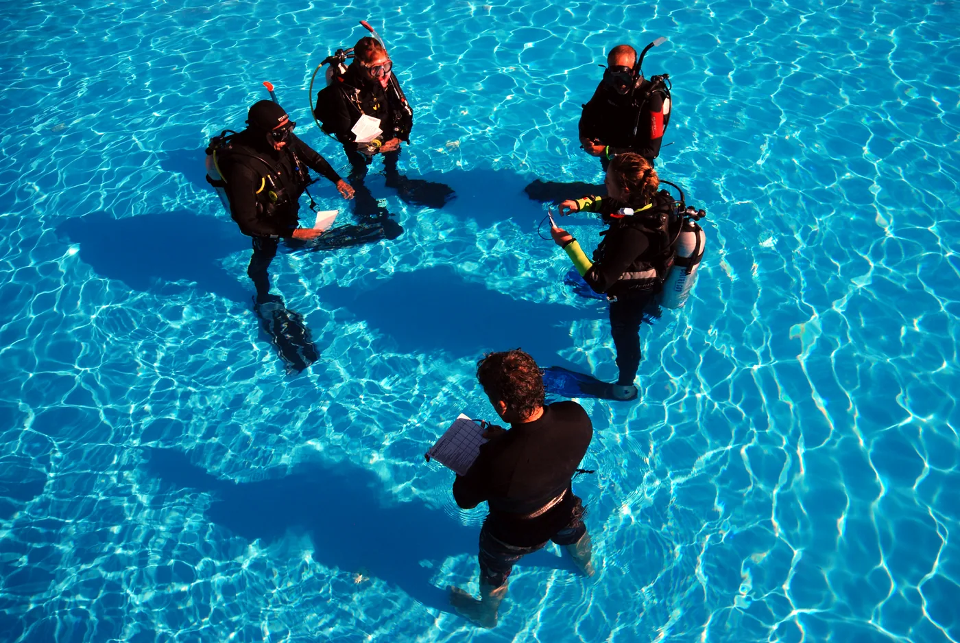 IDC instructors reviewing training slates in the pool
