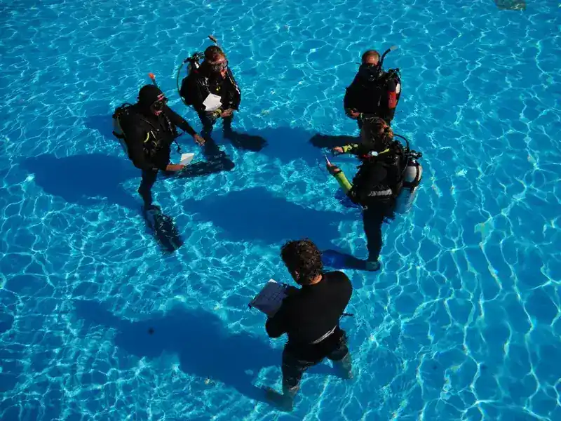 SeaWorld Career Development Center