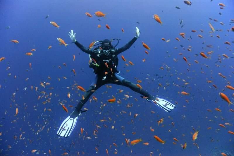 I Did My Divemaster at a PADI Career Development Center
