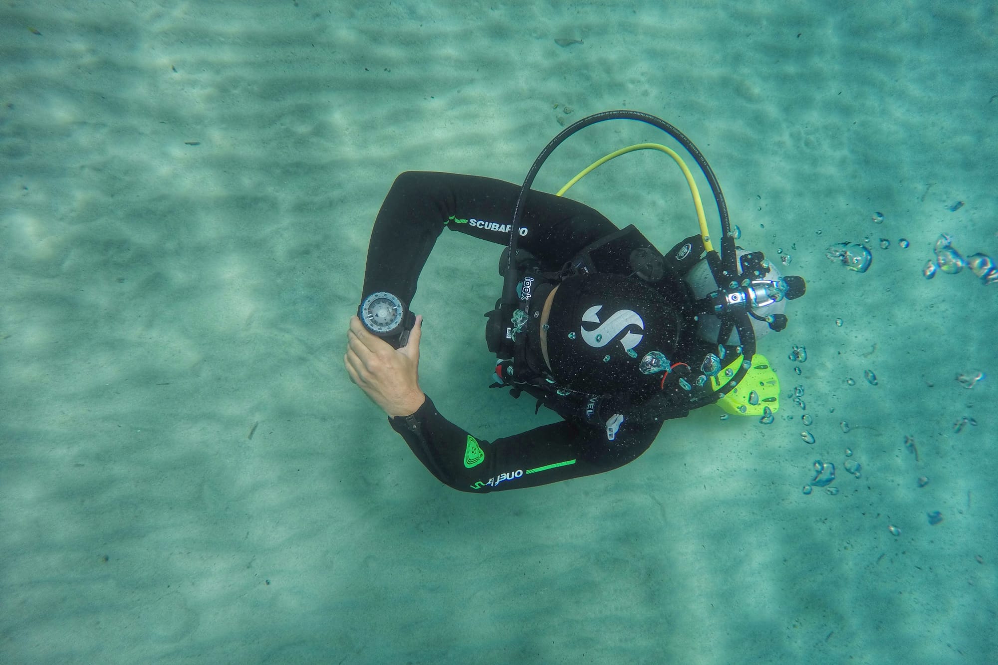 I Did My Divemaster at a PADI Career Development Center