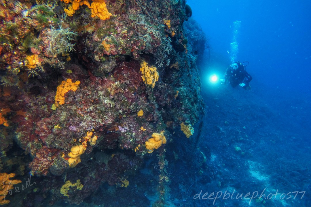 I Did My Divemaster at a PADI Career Development Center