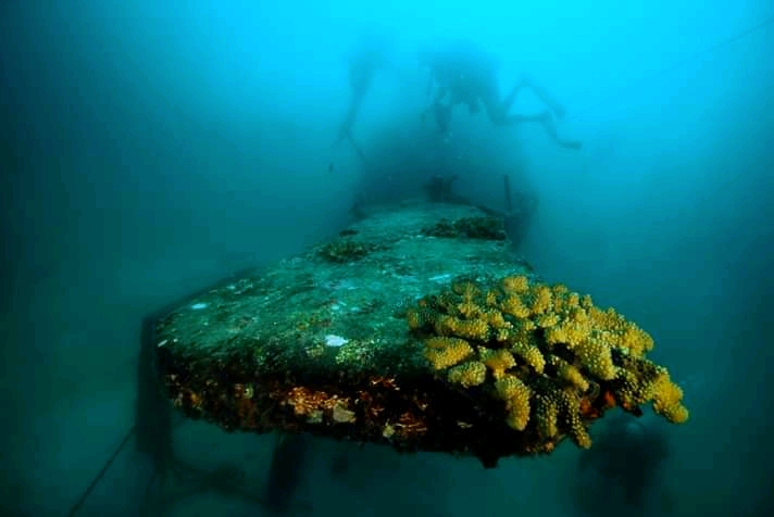 Why did I become a PADI Wreck Instructor?